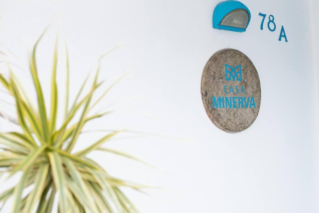 Casa Minerva Merida